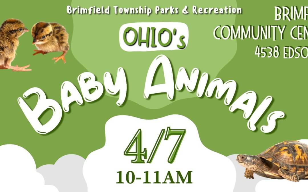 Ohio’s Baby Animals