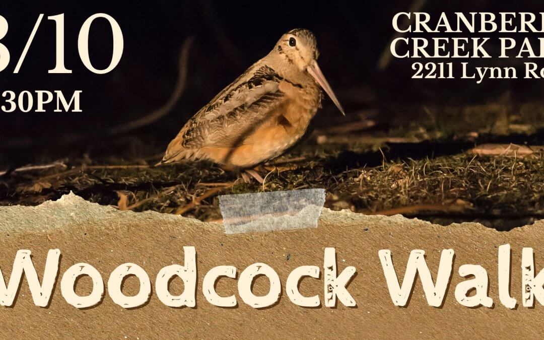 Woodcock Walk