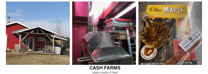 Cash Farms - photo credit: Diane Rock 