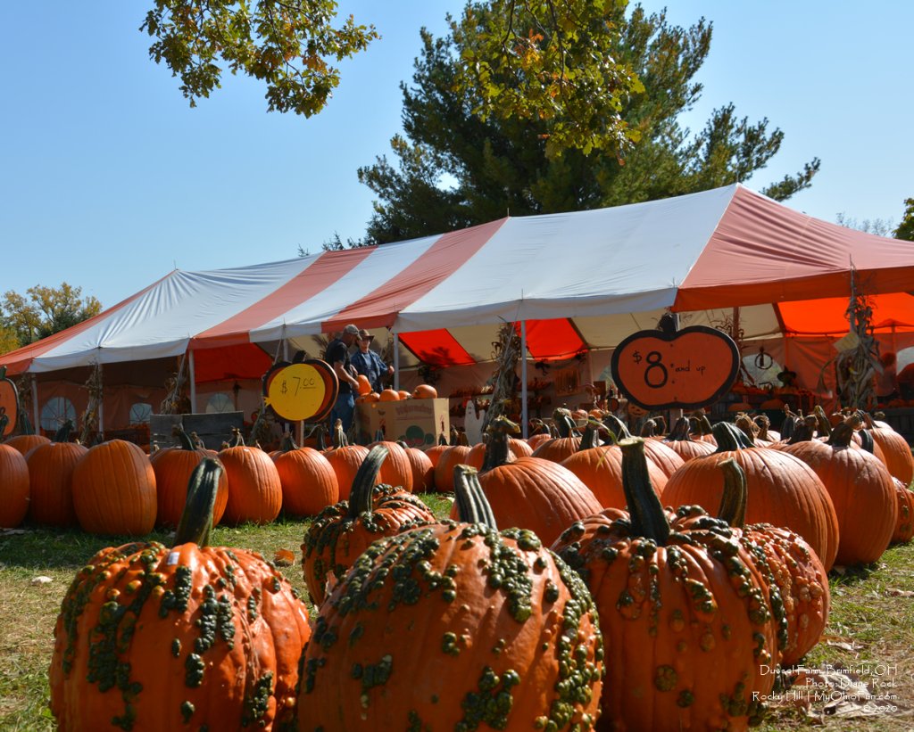 Dussell Farm - Phot credit My Ohio Fun