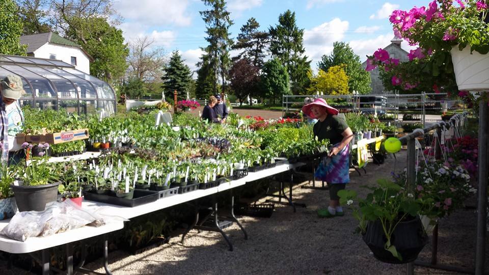 The Garden Club of Kent’s Annual Plant Sale